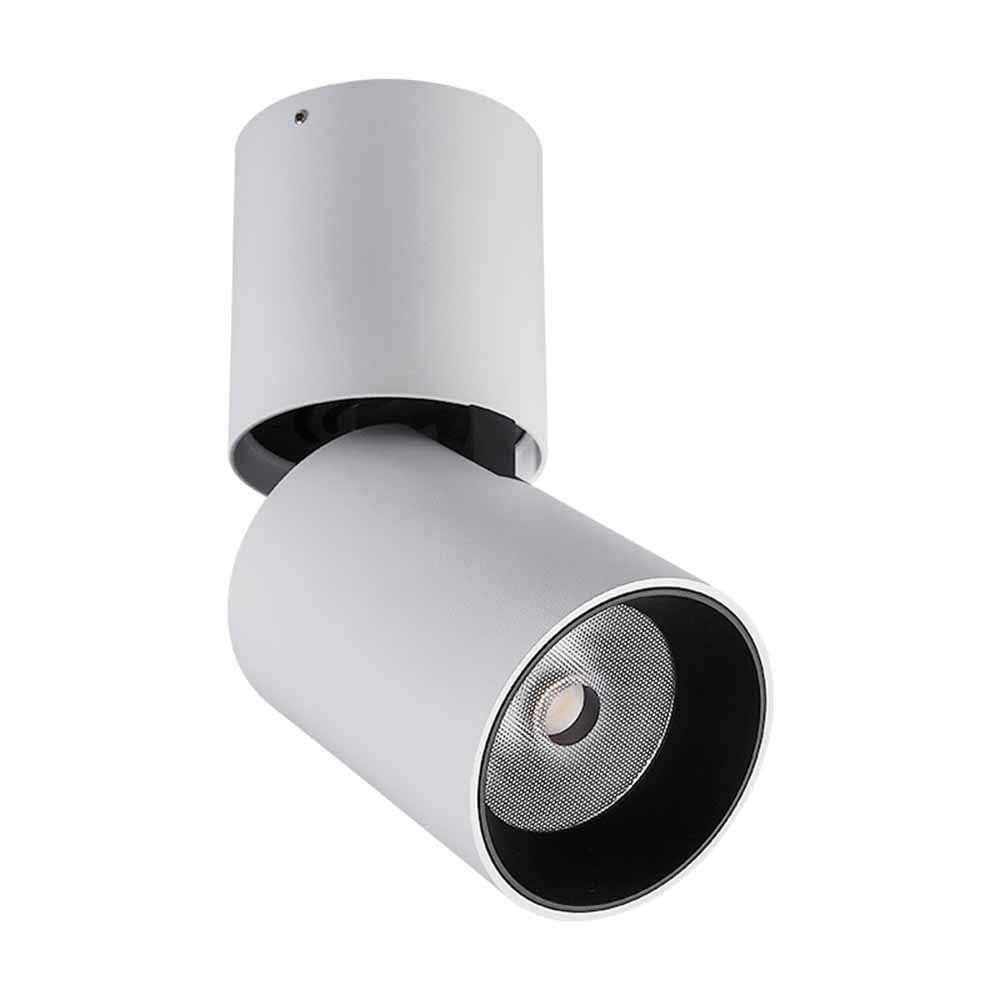 Movable COB Down Light 1